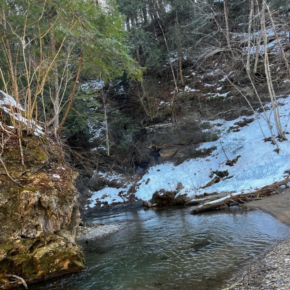 Meet your Posher, Olivia - Picture 12 of 12